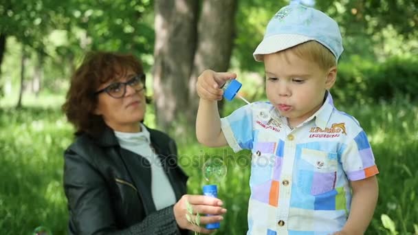 Бабуся з дитиною відпочиває в парку. Налийте мильні бульбашки. Відкритий відпочинок — стокове відео