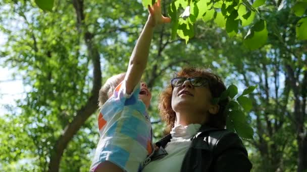 La nonna del bambino sta riposando, giocando nel parco. L'aria aperta. Vacanza in famiglia nel parco — Video Stock