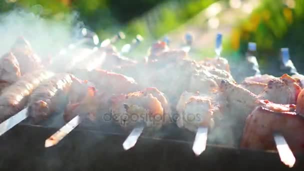 Barbecue Delicious Meat Cooked on the grill. A barbecue party. Pork pieces of meat roasted on an open fire — Stock Video