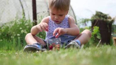 Çocuk çimenlerin üzerine oturur ve kırmızı meyve yer. Bahçe çilek Victoria