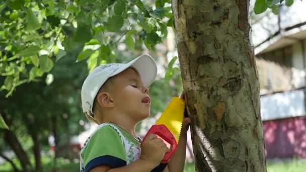 Un niño está parado en un parque cerca de un árbol. Juegos al aire libre — Vídeos de Stock