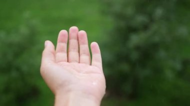 avuç içinde düşen yağmur damlaları. yaz yağmuru