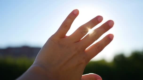 O sol nas mãos dele. Mulher mão para pegar o sol no fundo do belo pôr do sol no horizonte. Natureza . — Vídeo de Stock