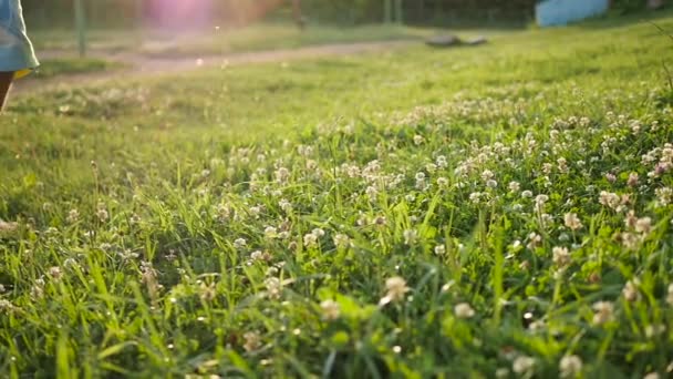 Man med nakna fötter gå på gräset. Hälsosam livsstil — Stockvideo