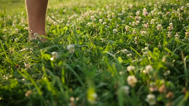 Uomo a piedi nudi che cammina sull'erba. Stile di vita sano — Video Stock