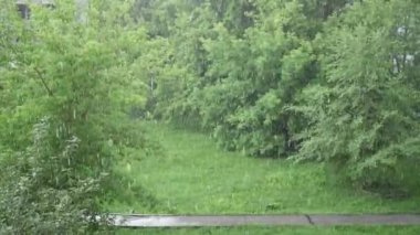 Ağır Sağanak parkta bir yaz gününde. Doğa