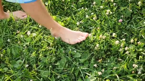 Hombre con los pies desnudos caminando sobre la hierba. Estilo de vida saludable — Vídeos de Stock