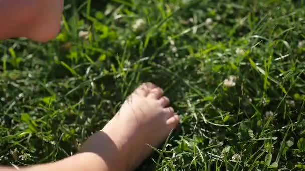 Niños pies desnudos pisotean la hierba. Diversión al aire libre — Vídeo de stock