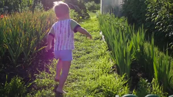 Дитина біжить босоніж по газону. Веселощі на відкритому повітрі — стокове відео