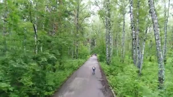 La route dans le parc d'été. Les gens marchent dans la ruelle — Video