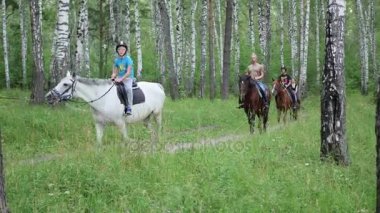 Novosibirsk, Rusya - 30 Temmuz 2017: binicilik parkta