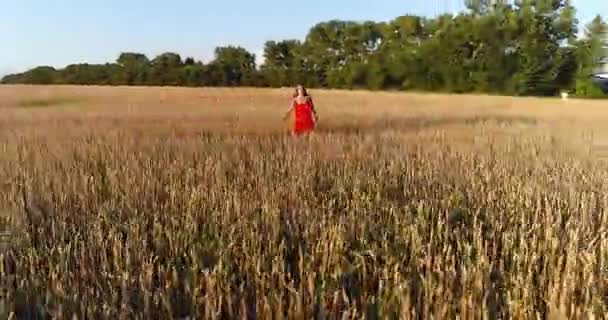 Una joven con un vestido corriendo por el campo de trigo. Disparando desde un dron. Deportes al aire libre — Vídeos de Stock