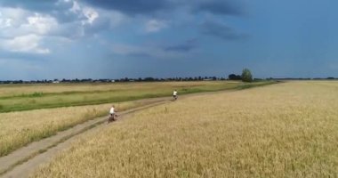 Buğday alanları boyunca bir ülke yolda bisiklet sürme bir çocuk olan genç bir adam. Bir dron--dan ateş. Spor açık havada