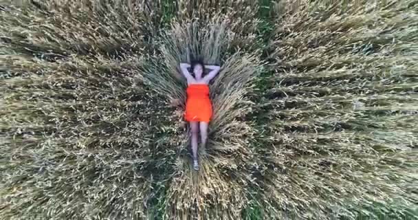 Молода дівчина в сукні лежить на пшеничному полі. Стрілянина з безпілотника. Дозвілля та розваги на відкритому повітрі — стокове відео