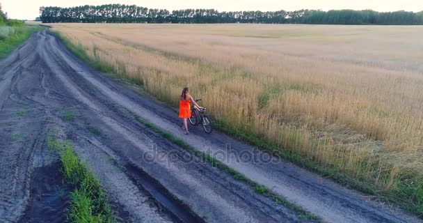 Girl in a dress goes with the bike along fields of wheat. Shooting at the drone. Beautiful landscape from a height — Stock Video