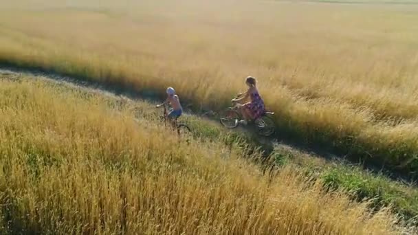 Mädchen in einem Kleid mit einem Kind, das auf einem Fahrrad entlang von Weizenfeldern fährt. Schießen mit der Drohne. schöne Landschaft aus der Höhe — Stockvideo