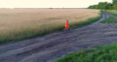 Buğday alanları boyunca bir bisiklet sürme elbiseli kız. Bir dron ateş. Bir yükseklikten güzel manzara