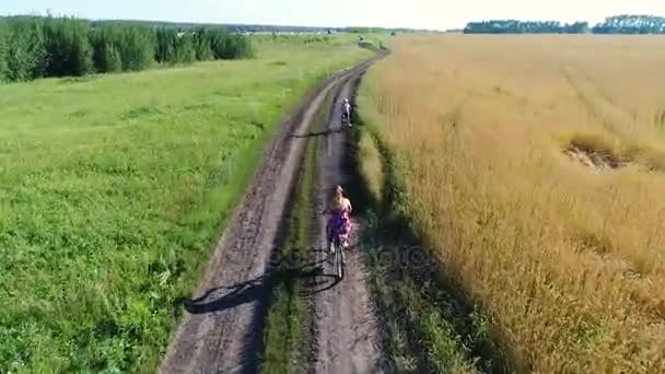 Mädchen in einem Kleid mit einem Kind, das auf einem Fahrrad entlang von Weizenfeldern fährt. Schießen mit der Drohne. schöne Landschaft aus der Höhe — Stockvideo