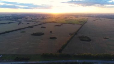 Buğday alanları. Güzel sahne günbatımı zamanında bir yükseklikten. Dron çekim.