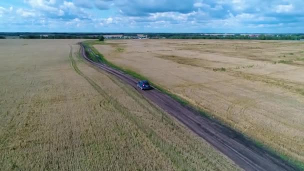 Buğday alanları araba sürmek. Güzel manzara yükseklikten. Dron çekim. — Stok video