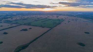 Buğday tarlaları. Günbatımı zamanında bir yükseklikten güzel sahne. Yükseklikten fotoğraflar