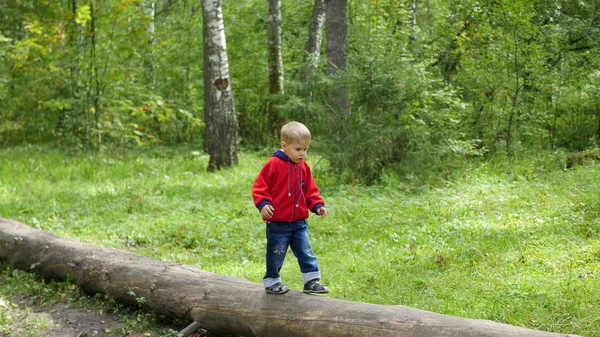 sonbahar Park yürüyüş çocuk. Çocuk düşmüş bir ağaç üzerinde gider