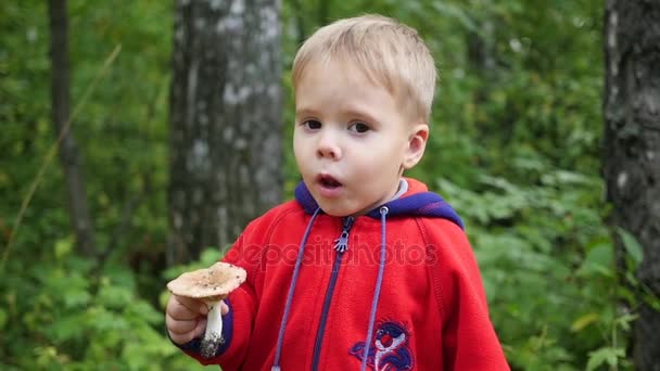 un enfant se promène dans le parc en automne. Un enfant tient un champignon blanc 