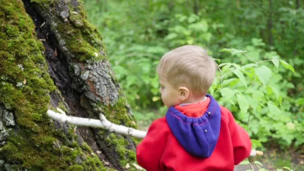 Дитина гуляє в осінньому парку. Хлопчик стоїть біля великого дерева з палицею в руках — стокове відео