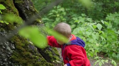 sonbahar Park yürüyüş çocuk. Elinde bir sopa ile büyük bir ağaç yakınındaki bir çocuk duruyor