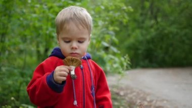 bir çocuk parkında sonbaharda yürür. Bir çocuk bir beyaz mantar tutar