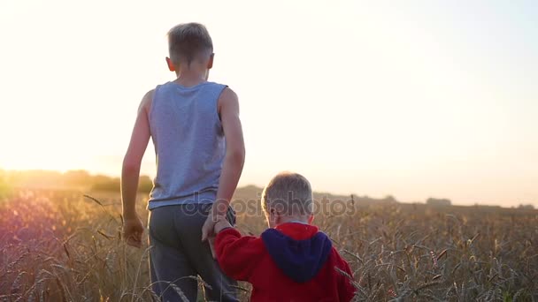 Twee kinderen hand in hand wandelen op tarweveld. Zonsondergang — Stockvideo