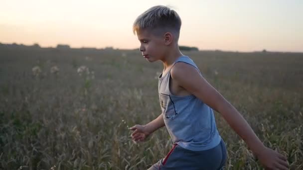 El niño corre a lo largo del campo de trigo, la hora del atardecer. Deportes al aire libre — Vídeos de Stock