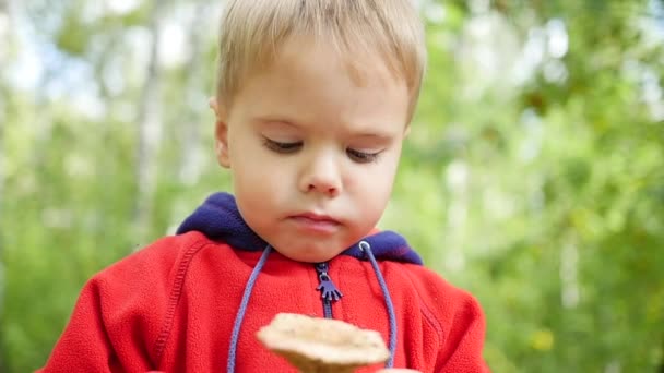 Un niño camina en el parque en otoño. Un niño sostiene un hongo blanco — Vídeos de Stock