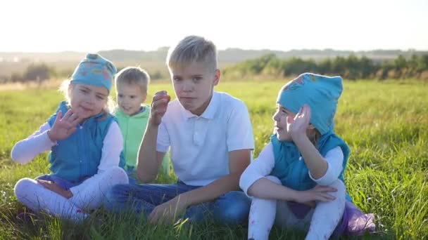 Die Kinder sitzen auf der Liegewiese im Park. Lachen und Lächeln. Kinderurlaub an der frischen Luft — Stockvideo