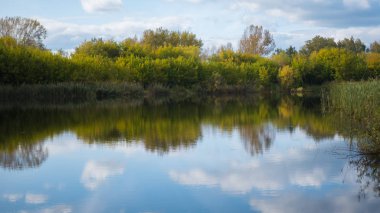 Küçük bir göl Park, sararmış ağaçların ve kıyı. Gökyüzü ve Gölü nün su ağaçlarda yansımasıdır. Çok güzel manzaralı bir yer
