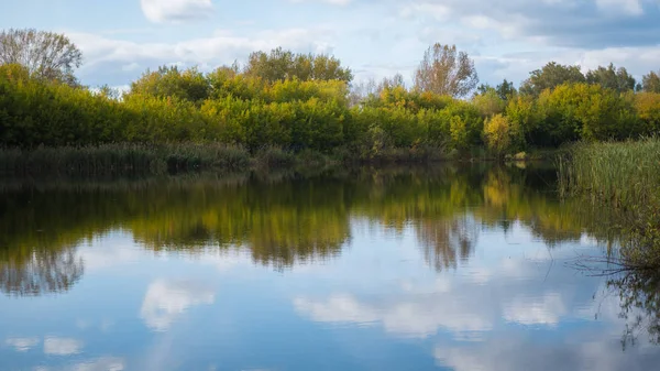 Küçük bir göl Park, sararmış ağaçların ve kıyı. Gökyüzü ve Gölü nün su ağaçlarda yansımasıdır. Çok güzel manzaralı bir yer