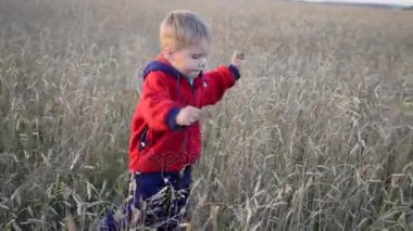 Çocuk günbatımı zamanını buğday alanı çalışır. Açık spor