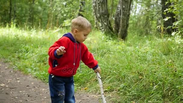 El niño que camina en otoño Parque. Un niño está de pie con un palo en las manos — Vídeo de stock