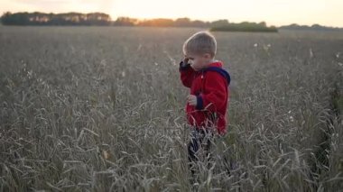 Çocuk günbatımı zamanını buğday alanı çalışır. Açık spor