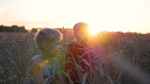 Les enfants se tiennent dans un champ de blé. Deux enfants rient et sourient. Promenades à l'air frais au coucher du soleil — Video