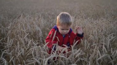 Çocuk günbatımı zamanını buğday alanı çalışır. Açık spor