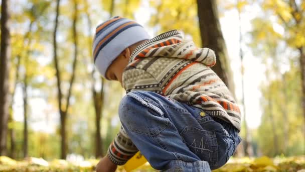 Παιδί φθινόπωρο πάρκο έχοντας διασκέδαση παίζοντας με φύλλα, περπατά στο φρέσκο αέρα — Αρχείο Βίντεο