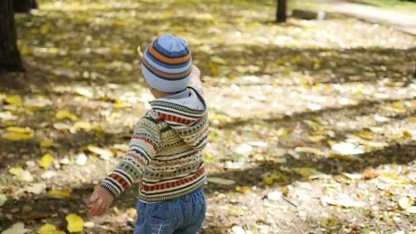 Criança no outono Parque se divertindo brincando com folhas, Caminhadas ao ar livre — Vídeo de Stock
