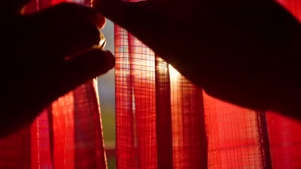 The girl opens red curtains and played with his hands through the suns rays. Hand closeup — Stock Video