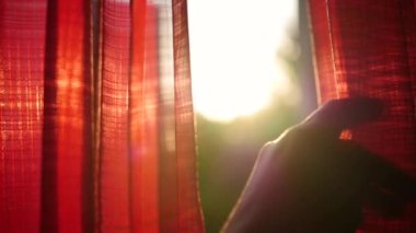 Kız kırmızı perdeler açılır ve elleri ile güneş ışınları ile oynadı. El portre