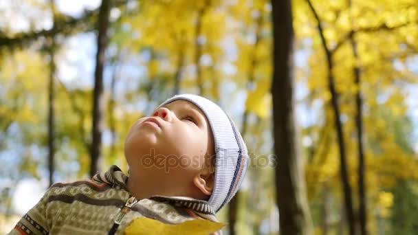 Enfant à l'automne Parc regarde le sommet des arbres, Promenades dans l'air frais 