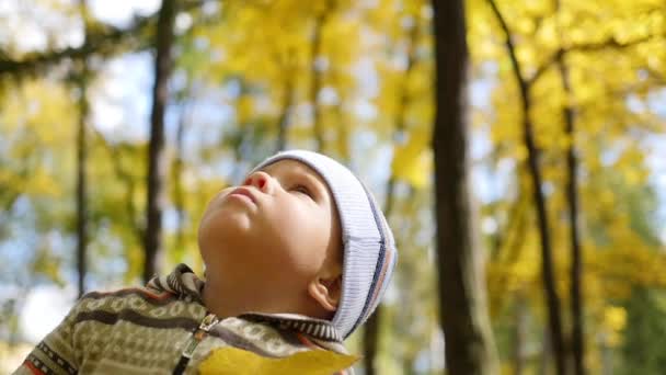 Παιδί το φθινόπωρο του πάρκου μοιάζει στην κορυφή των δέντρων, Περίπατοι στον καθαρό αέρα — Αρχείο Βίντεο