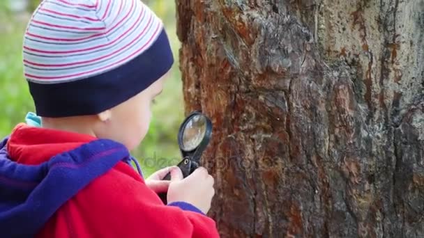 Skolpojke i Park studier av växter och nasekomye genom ett förstoringsglas. Studie av omvärlden, förskola och skola utbildning — Stockvideo