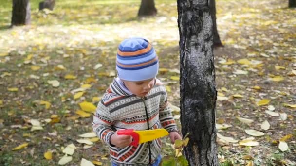 Ребенок в осеннем парке весело играет с листьями, гуляет на свежем воздухе — стоковое видео