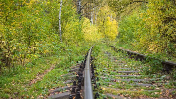 The railway runs through the beautiful colorful autumn forest. Autumn. A beautiful scenic place — Stock Photo, Image